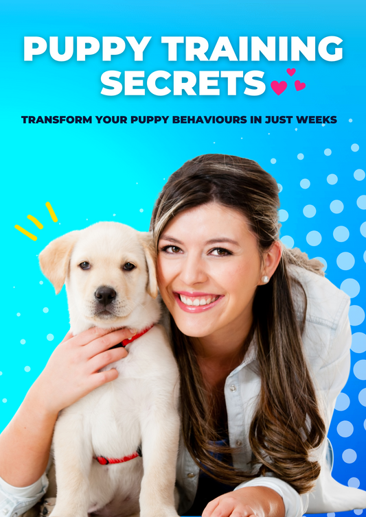 Puppy Training Secrets: Transform Your Dog’s Behaviours in Just Weeks