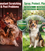PawShield™ Natural Flea & Tick Defense Spray