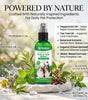 PawShield™ Natural Flea & Tick Defense Spray