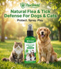 PawShield™ Natural Flea & Tick Defense Spray